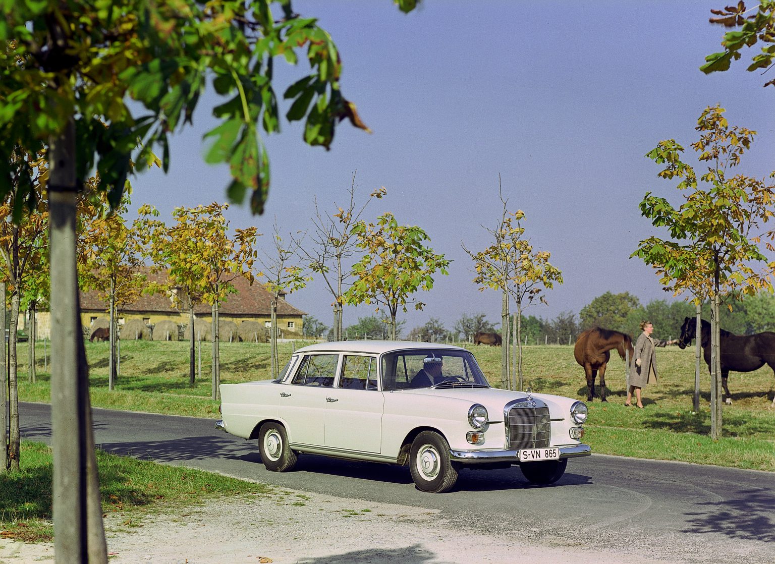 In the countryside: Mercedes-Benz from the "Fintail" W110 series (1961 to 1968).